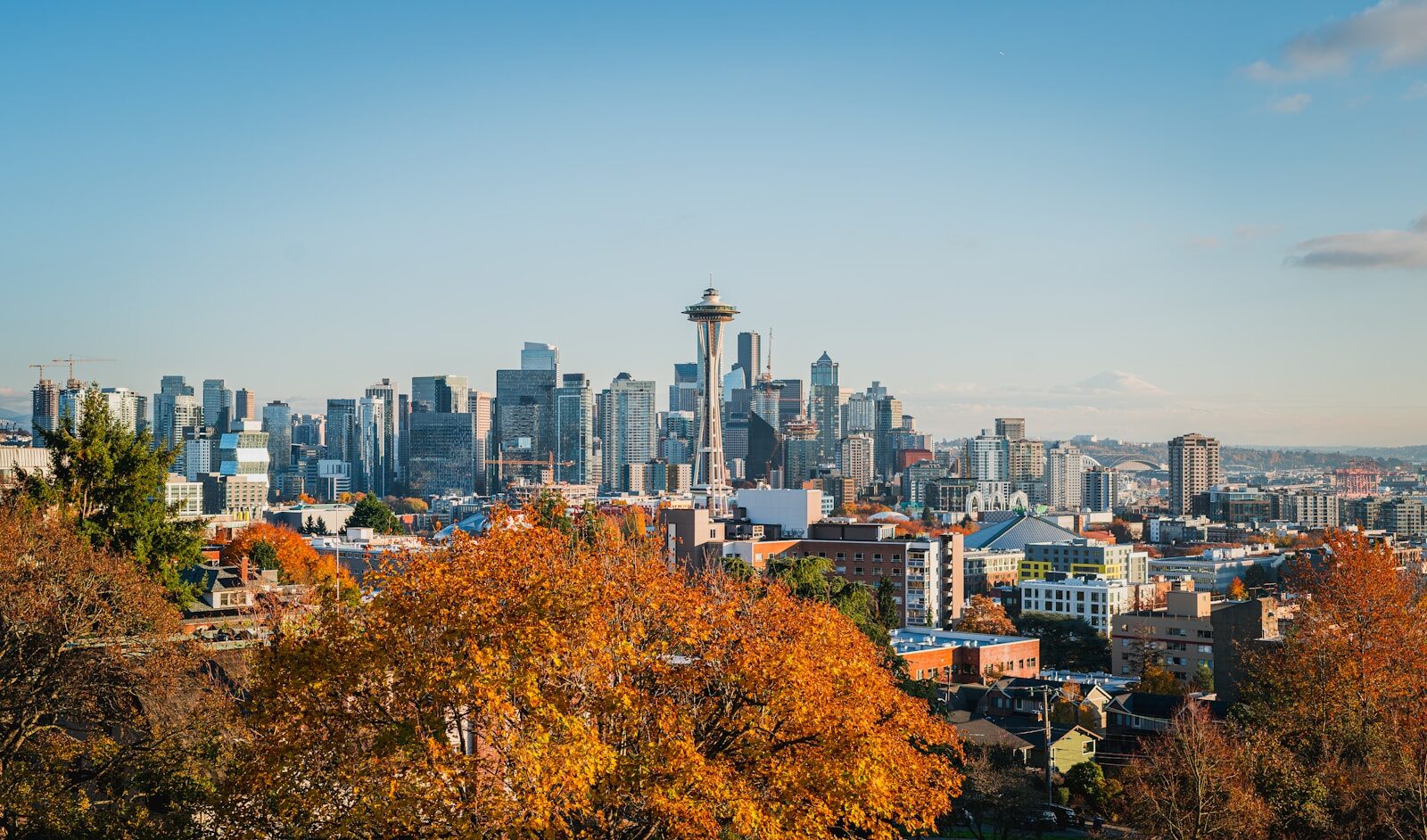 a view of the seattle skyline from the top of a hill